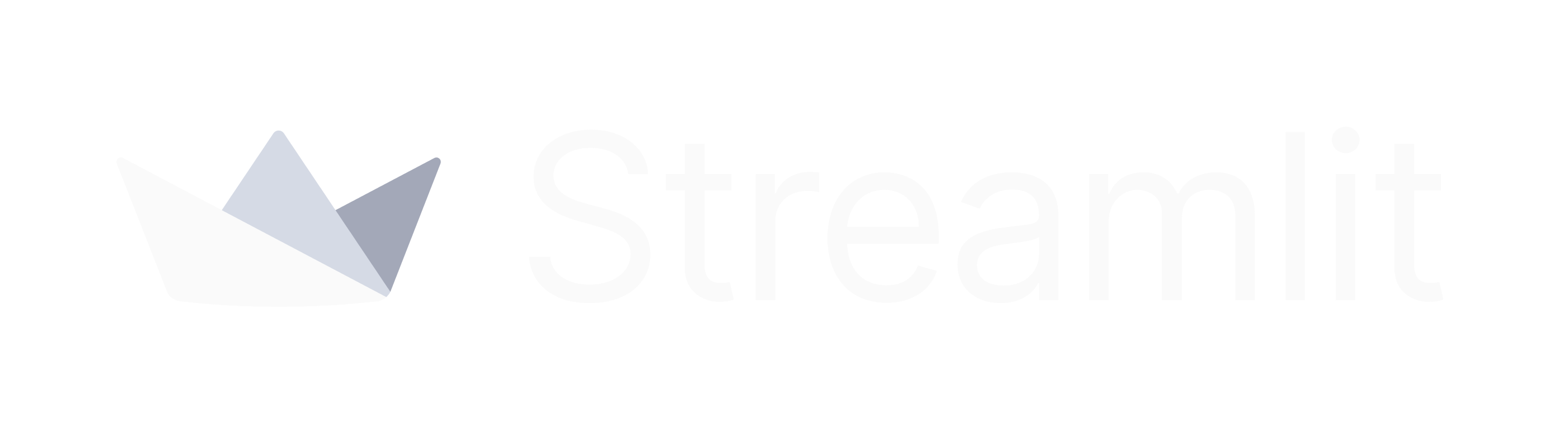 Streamlit light logo on dark background