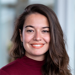 A picture of Mısra Turp